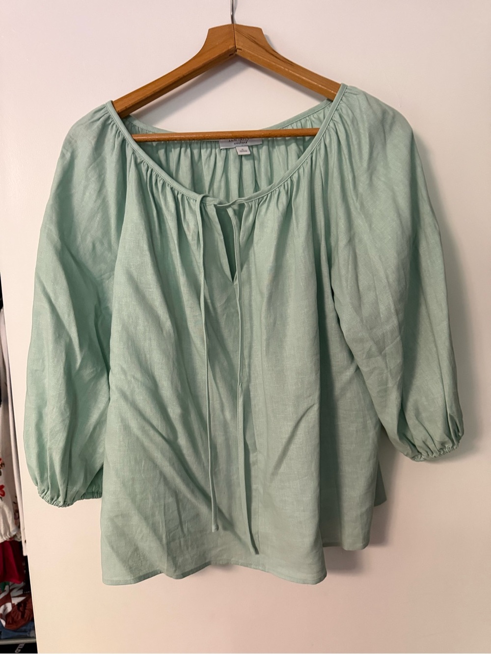 Ann Taylor Mint Sage Peasant Tunic Top